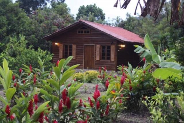 Hospedaje En El Lago San Pedro Sula Exterior foto